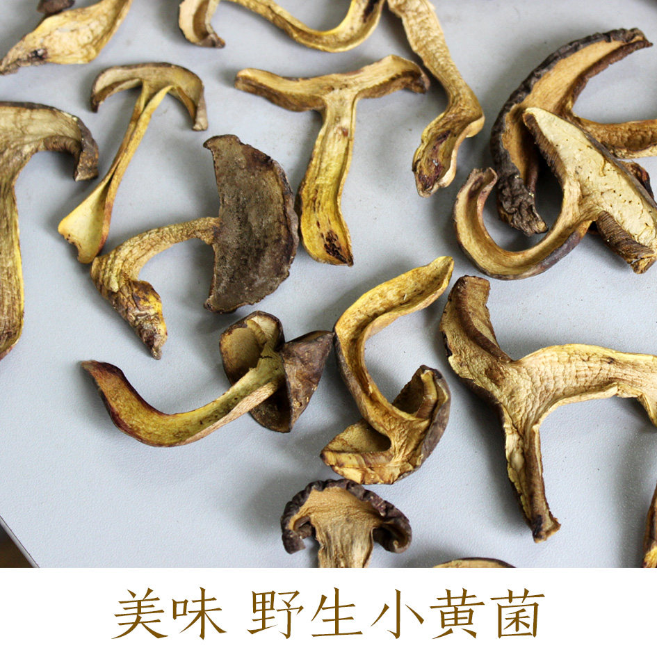 木碗小_云南野生菌小黄菌黄木碗黑牛肝菌 蘑菇干货100g 煲汤火锅