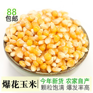 爆米花专用玉米粒