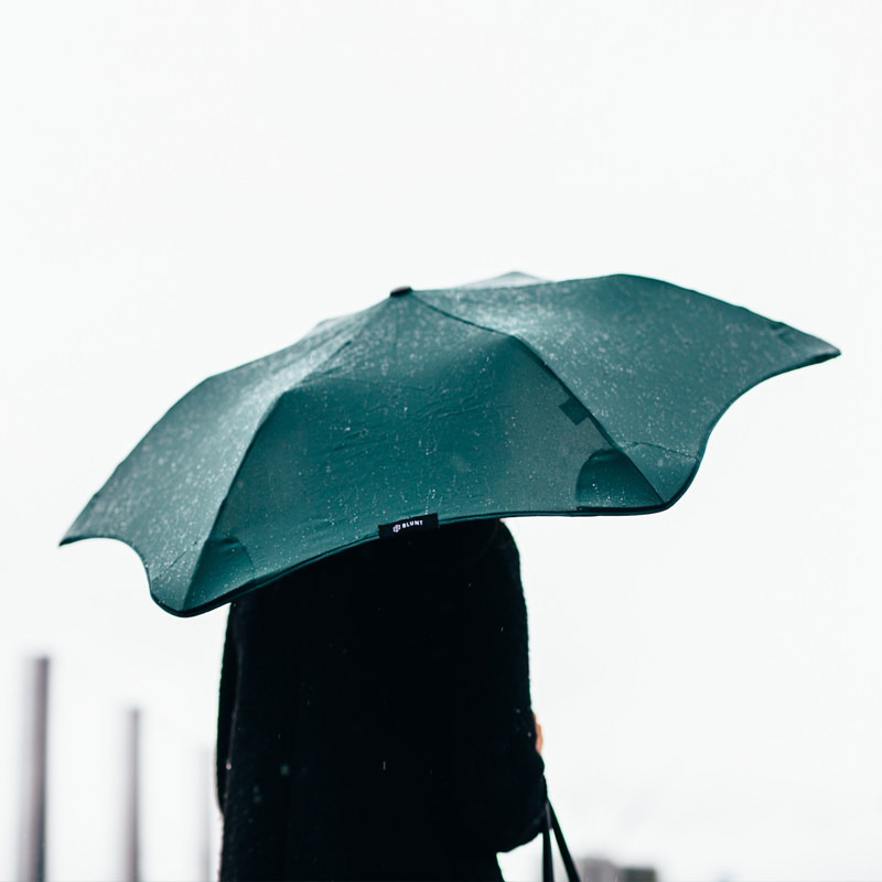 这样一把伞在雨中美出新高度