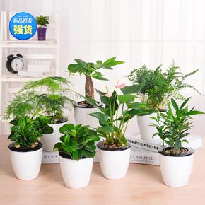 办公室椅子价格