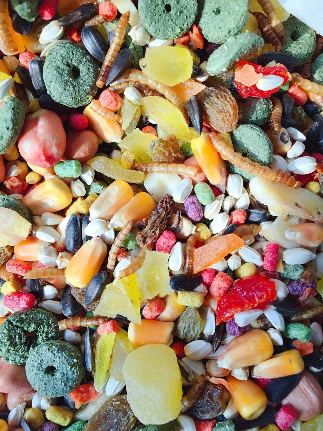 一折仓鼠粮_自配水果豪华营养仓鼠粮食500克 金丝熊松鼠食物磨牙主粮