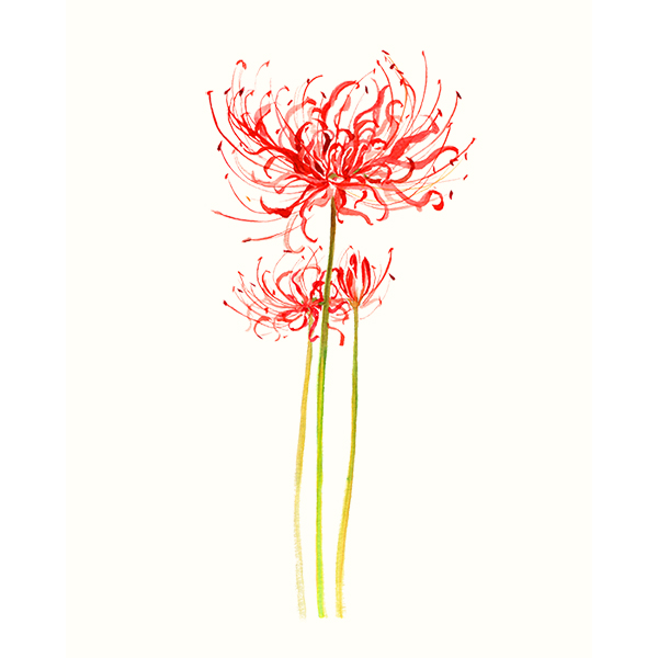 苏绣diy初学_苏绣diy套件初学入门零基础彼岸花花草自学手工刺绣图案