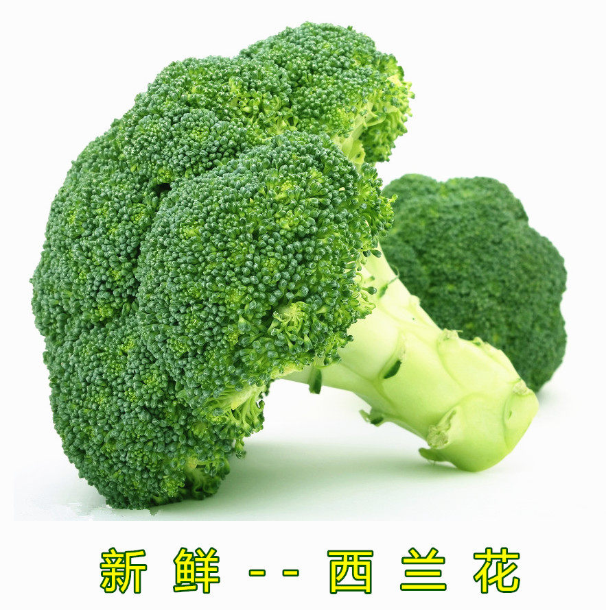 西兰花蔬菜 新鲜包邮_【京城菜篮子】新鲜蔬菜 有机菜 西兰花 绿菜花