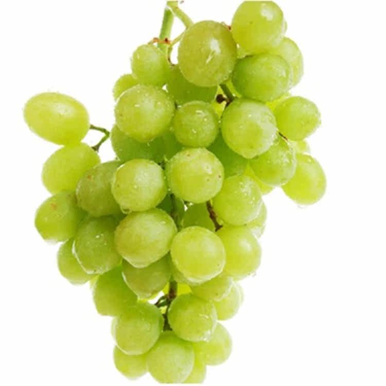 提子葡萄新鲜水果_【京城果园】新鲜水果 靑提 绿葡萄青提子(15斤原箱