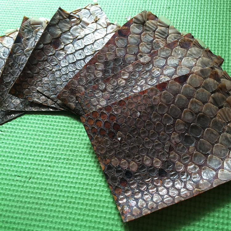 特价二胡_二胡蟒蛇皮边料侧边皮手工蒙皮材料二胡蟒皮块二胡配件厂家