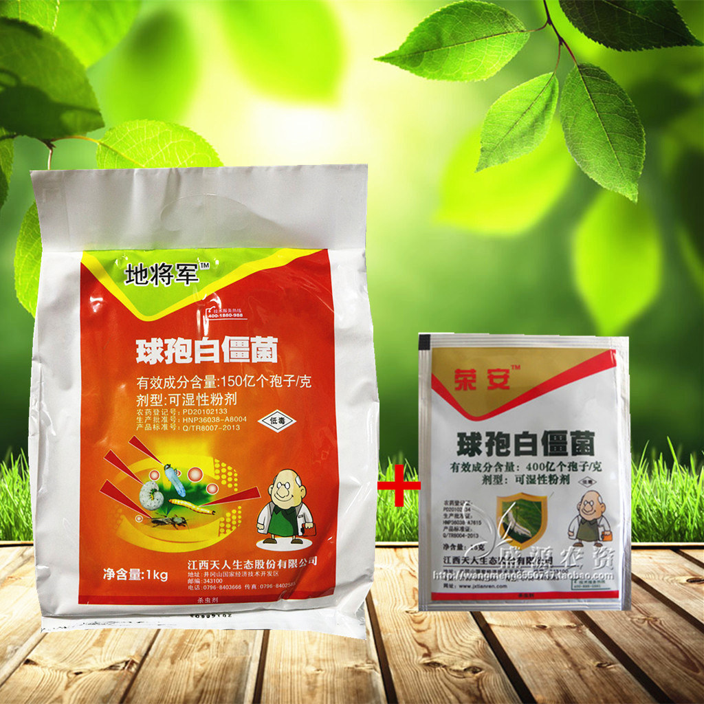 白僵菌生物地下害虫农药