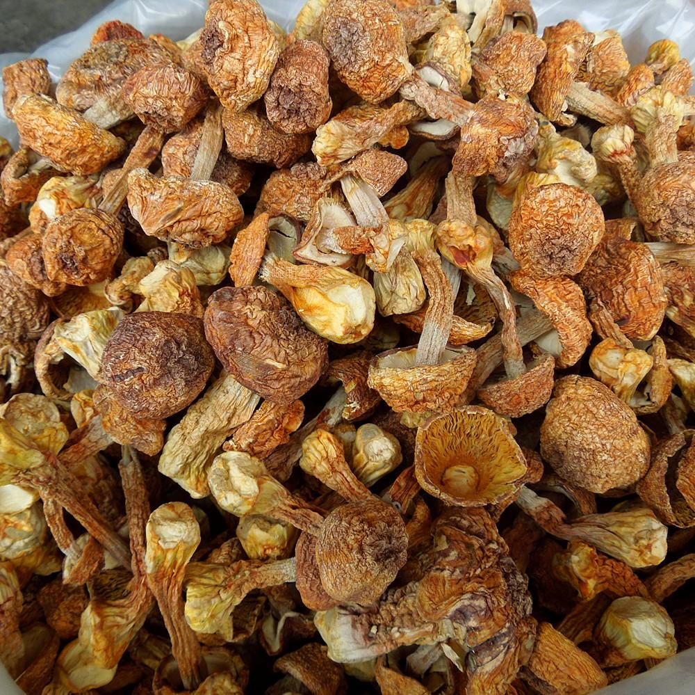 巴西特产有哪些