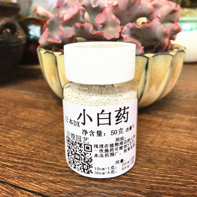小白药日本dx缓释颗粒 多肉植物杀虫剂 介壳虫红蜘蛛小黑飞花药