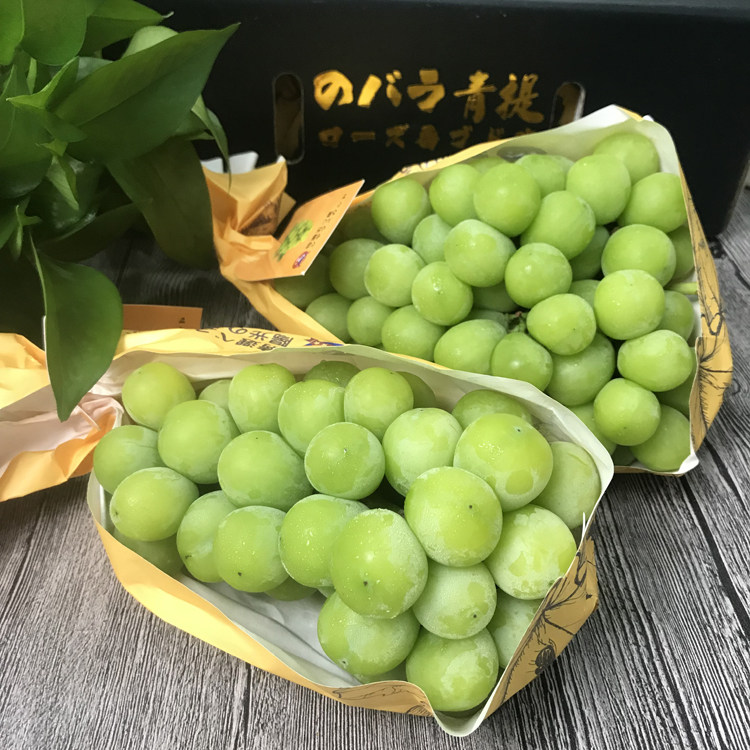 新鲜现货晴王香印阳光青提3斤装超甜青提子绿葡萄水果发顺丰空运