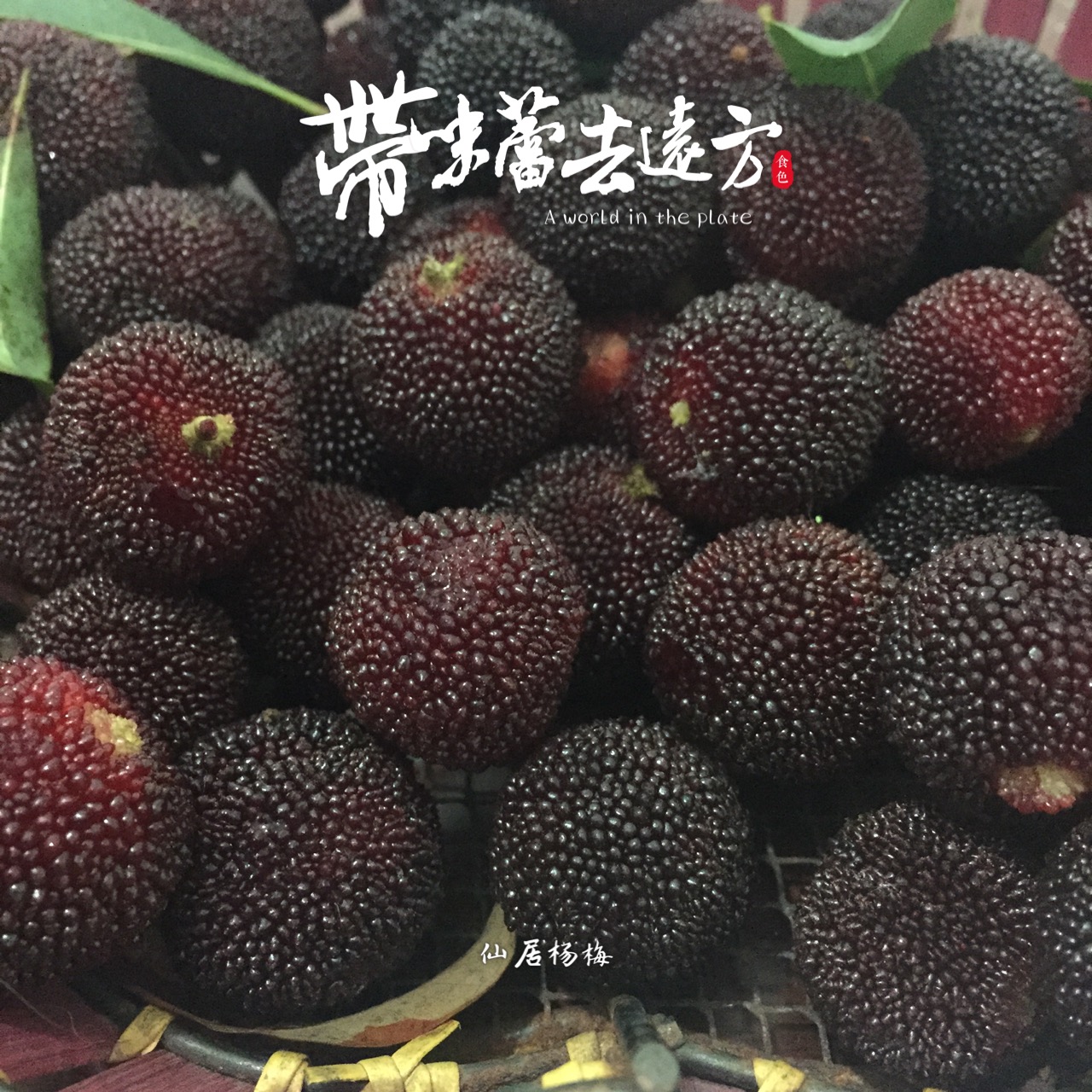 浙江仙居荸荠杨梅非东魁特级新鲜水果杨梅5a 6斤礼盒装江浙沪包邮