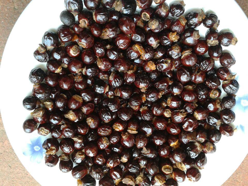 一折奔腾g4600_中药材 新货福建特产桂圆核 龙眼核 桂圆子/籽 500g4件