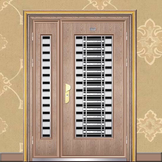 入户大门 不锈钢