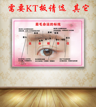 【养生海报】最新最全养生海报搭配优惠