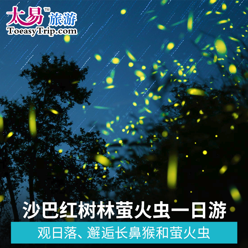 太易旅游 马来西亚沙巴品质旅游 萤火虫红树林长鼻猴
