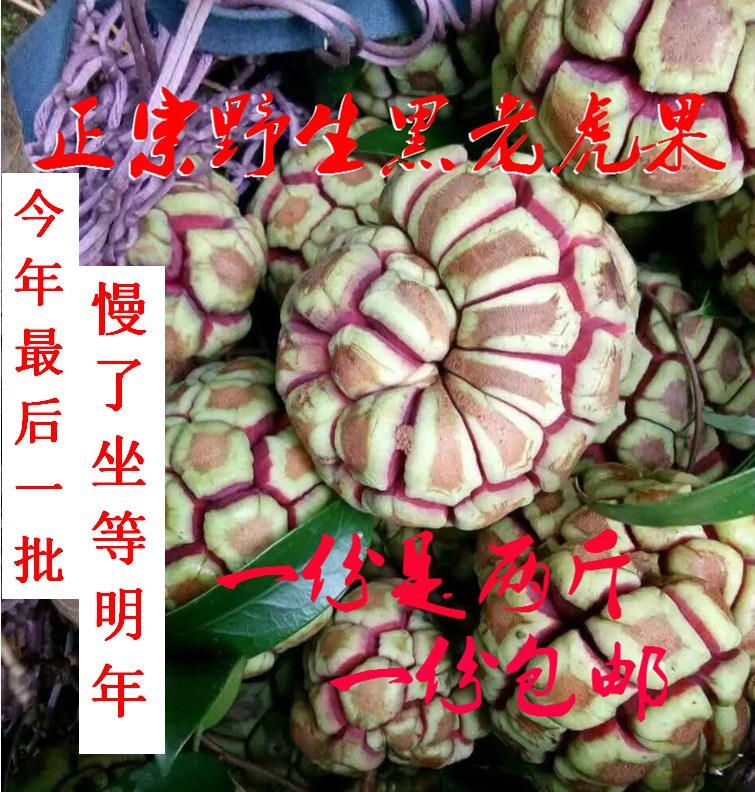 【过季】奇特水果野生黑老虎果新鲜布福娜果五味子神秘酒饭团包邮