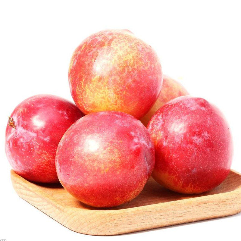蒲州黄河滩新鲜红李5斤当季水果特大李子现摘现发脆甜孕妇水果