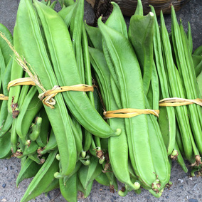 江西湖南广西特产新鲜蔬菜刀豆青刀豆 剁辣椒酸辣刀豆原料2斤