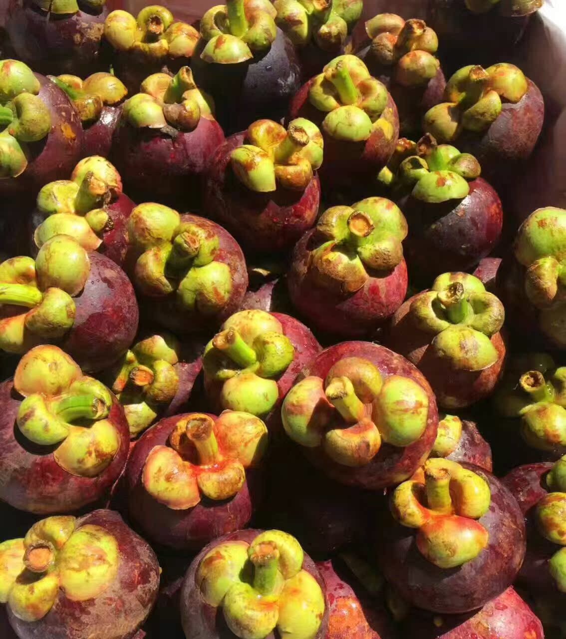 飞猴泰国进口山竹新鲜水果顺丰空运3斤免运费