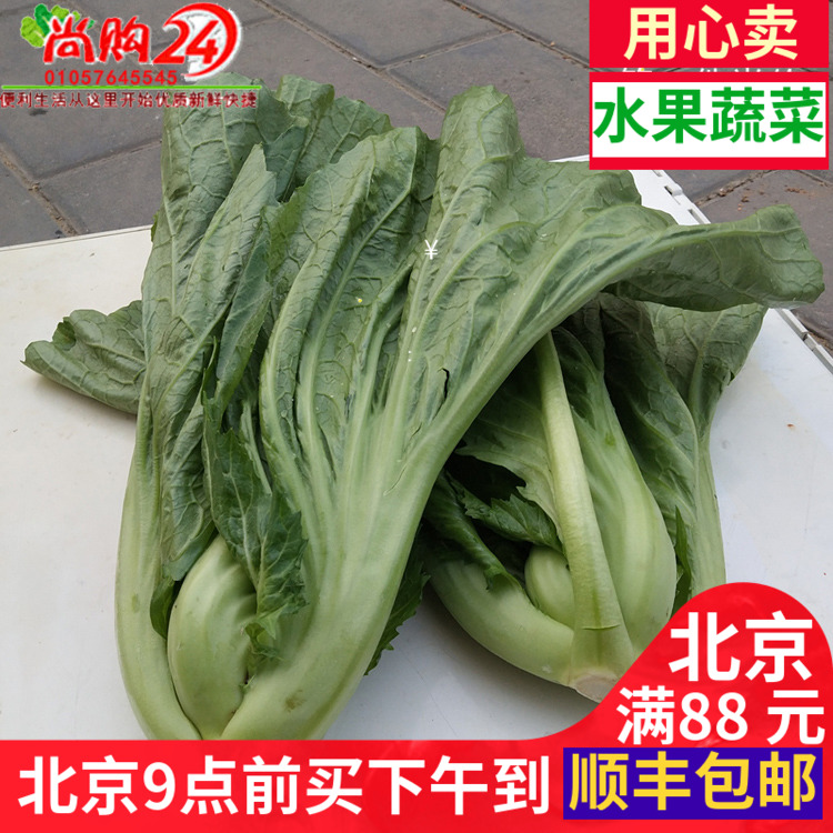 新鲜盖菜 500g 新鲜芥菜 青菜 新发地 新鲜蔬菜 北京同城配送