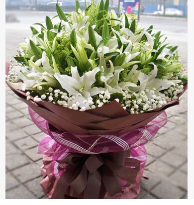 康乃馨百合花束鲜花速递广州同城配送妈妈老师长辈生日送花