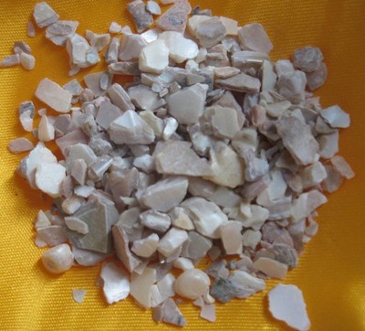 珍珠母500克品质保证 明珠母 珍珠母 珍珠母贝 中要材