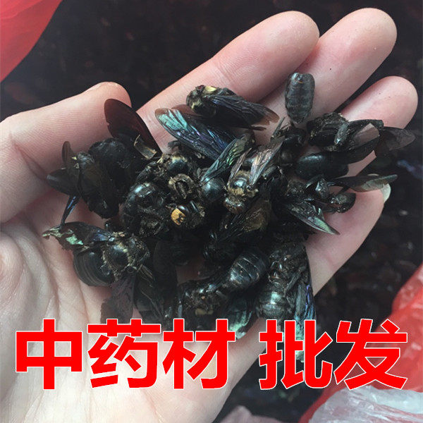 初级农产品 100克115元包邮 咸竹蜂虫 象蜂 熊蜂 乌蜂 乌竹蜂