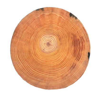 松木菜板实木 家用清仓大圆形原木厨房粘板酒店 商用整块大号砧