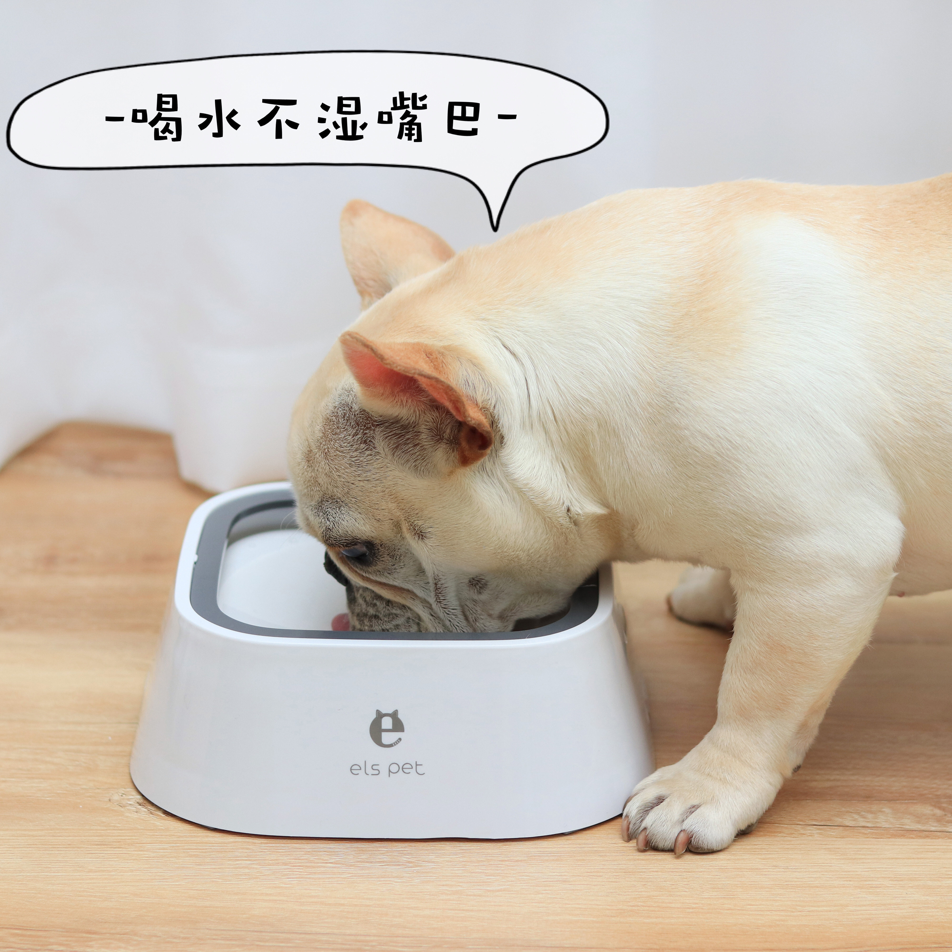 壹狗狗不湿嘴水碗猫咪狗狗饮水机法斗柯基喝水碗不湿嘴狗碗狗盆优惠券