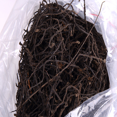 陇南高山老树核桃花野生核桃花新核桃花干核桃花长寿菜核桃花包邮