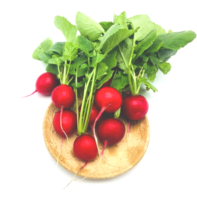 樱桃萝卜种子迷你红丁小萝卜种籽阳台盆栽四季播水果萝卜白黄萨丁