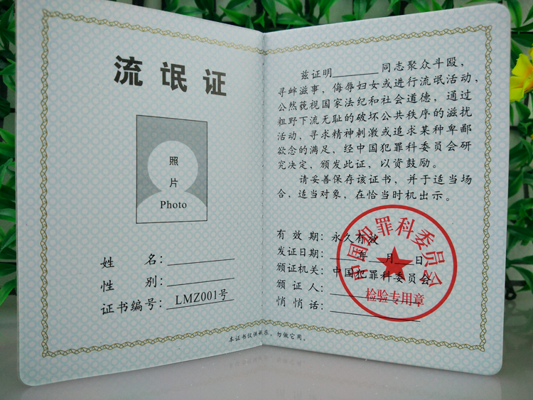流氓证 搞笑证书 个性创意证书 光棍节礼品光棍证 好人证 泡妞证