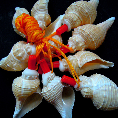 福记:天然海螺号角 喇叭 易吹响 儿童节玩具乐器 装饰品