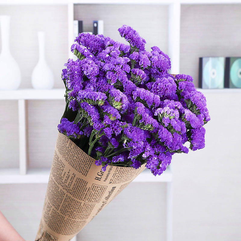 云南干花天然勿忘我小花束客厅书房家居摆设