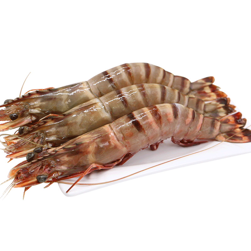 御鲜轩 缅甸进口红虎虾1kg 大虾4只装/盒 鲜活冷冻海鲜新鲜水产