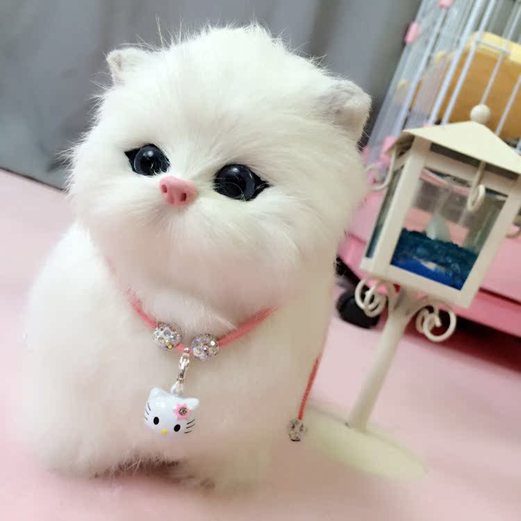 宠物用品猫狗铃铛狗狗项圈猫咪项圈泰迪小型犬大铃铛猫项圈牵引绳