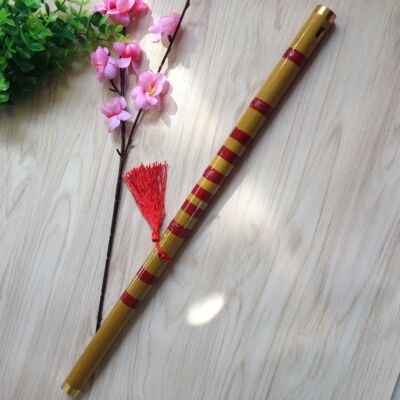 竖笛6孔竖吹葫芦笛子乐器单插成人学生初学演奏笛苦竹笛直笛