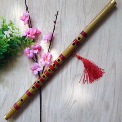 竖笛6孔竖吹葫芦笛子乐器单插成人学生初学演奏笛苦竹笛直笛