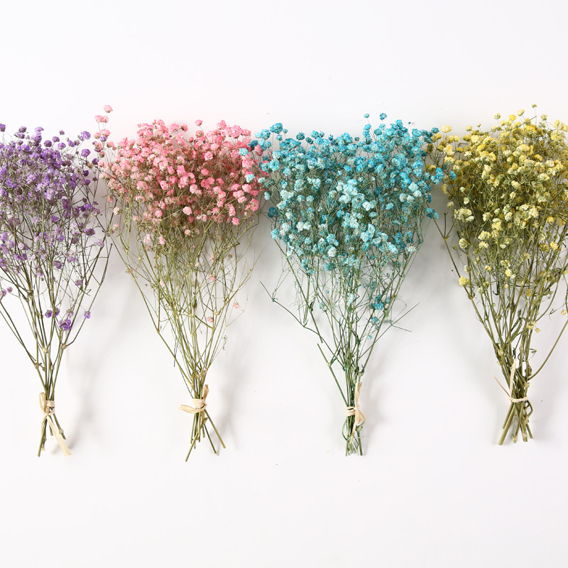 一折干花花束 家居摆设装饰_满天星干花花束家居摆设网红ins插花花枝