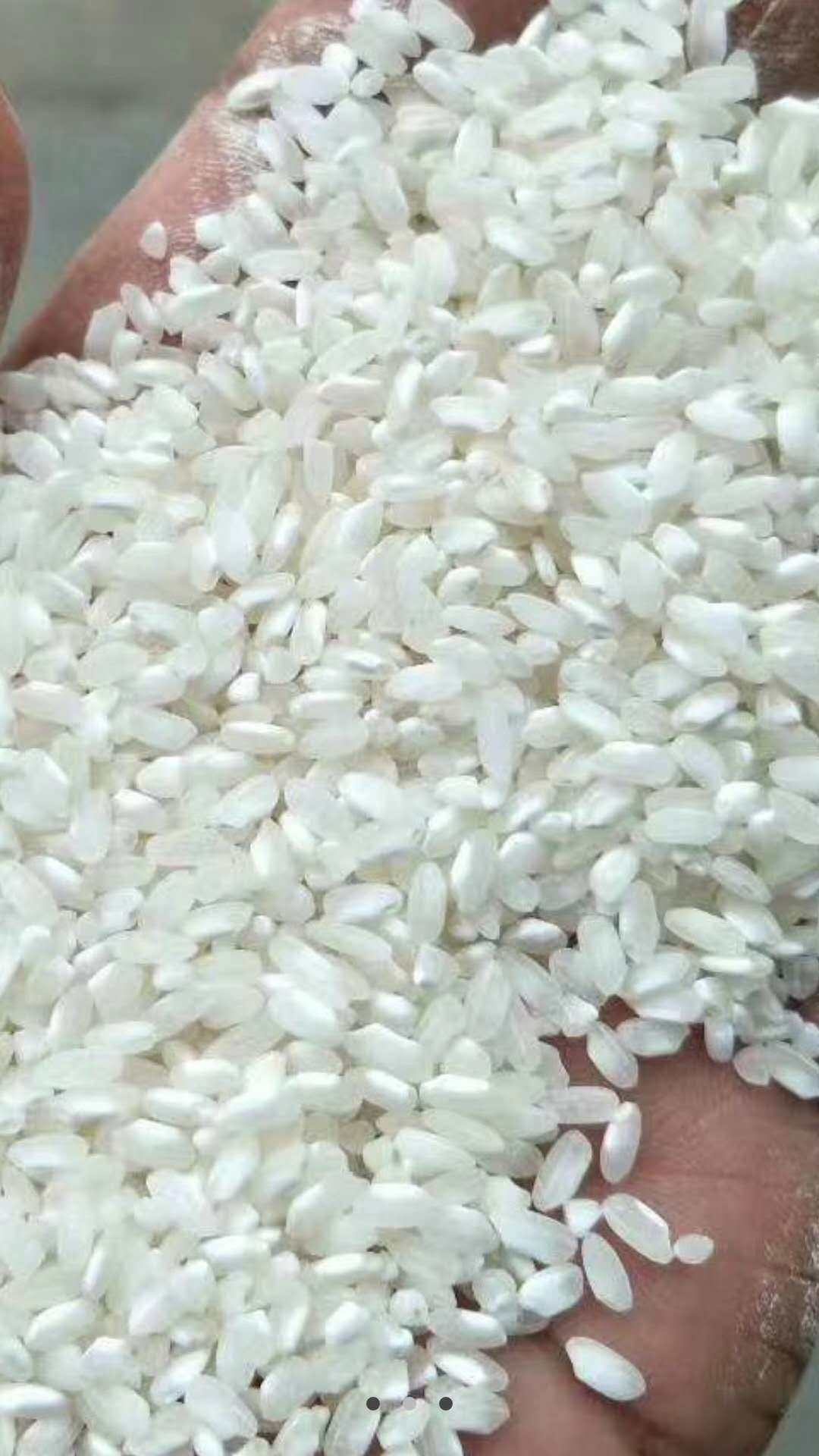 米豆腐大额优惠券