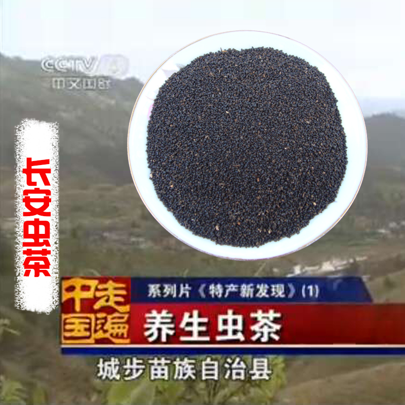 湖南虫屎茶城步长安野生虫茶三叶海棠龙珠茶原生态陈年特级养生茶图片