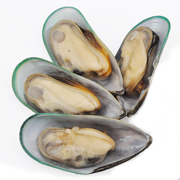 【鲜有汇聚】新西兰青口贝1000克/盒 大个青口