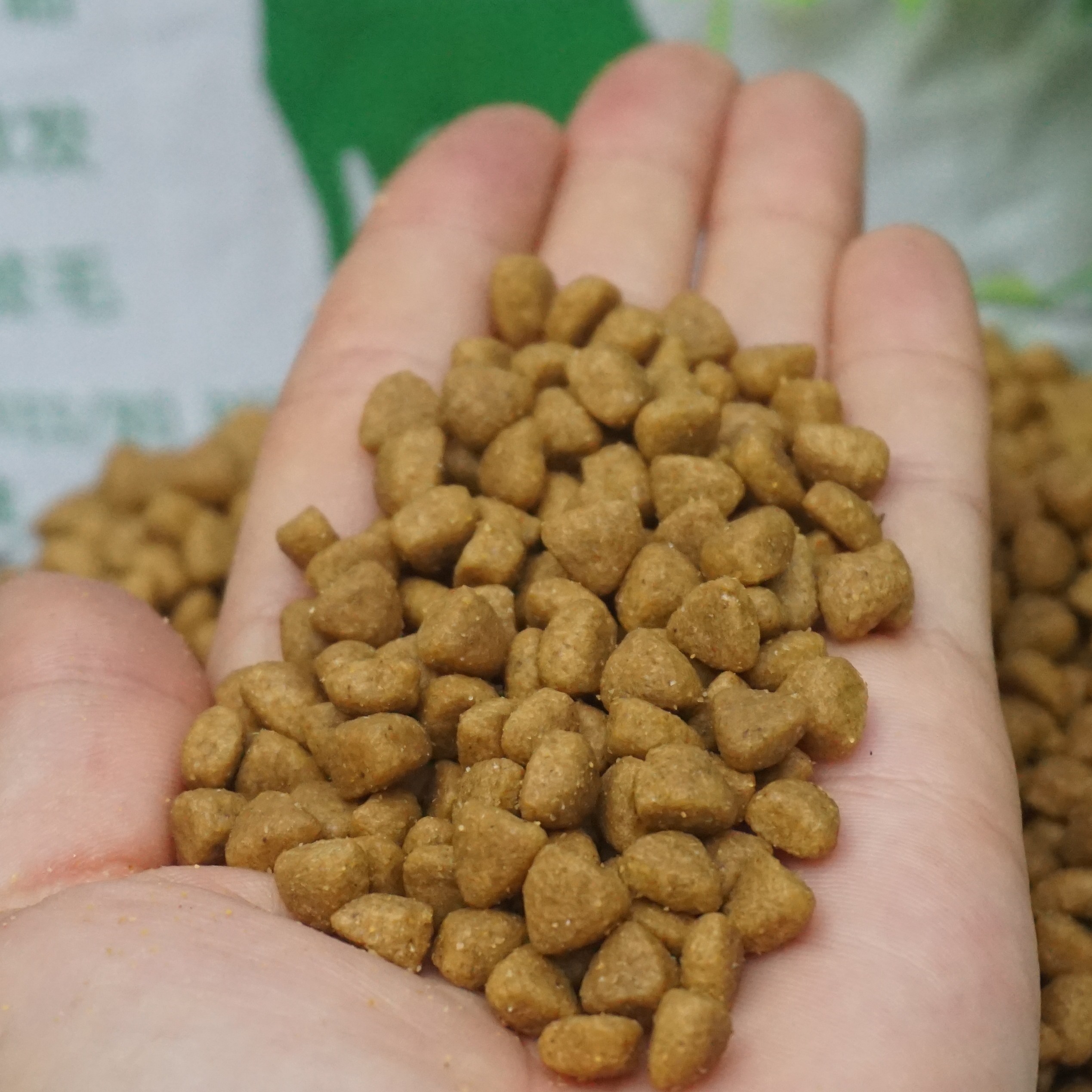 搜索"狗粮"的优惠券结果页-优惠券查询系统