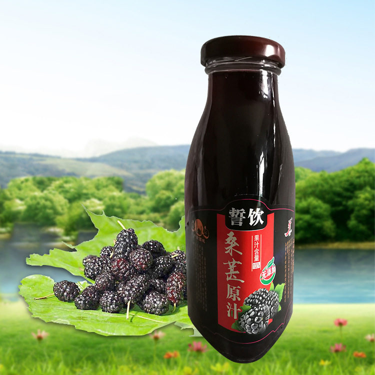 首件优惠】新疆誓饮100%纯桑葚桑果汁天然无添加果蔬汁饮料包邮优惠券