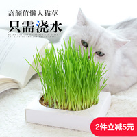 亚洲色情a片视频 亚成人影片在线播放 mmma片