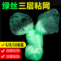 五点绿色先锋下载站鎏金名将免费热血版破解版风化砂超模诞生记 2011