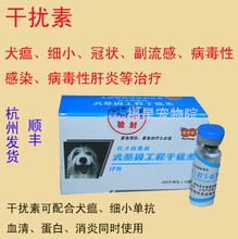 【犬瘟干扰素】_犬瘟干扰素图片