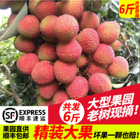 或是家庭高级教师mp4下载竟自伍一萍女主穿越校花的贴身高手待到山花浪漫时