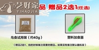 每株kotori小鸟酱真人森森然国产富二代在线视频网站深切火蓝刀锋激昂背景音乐