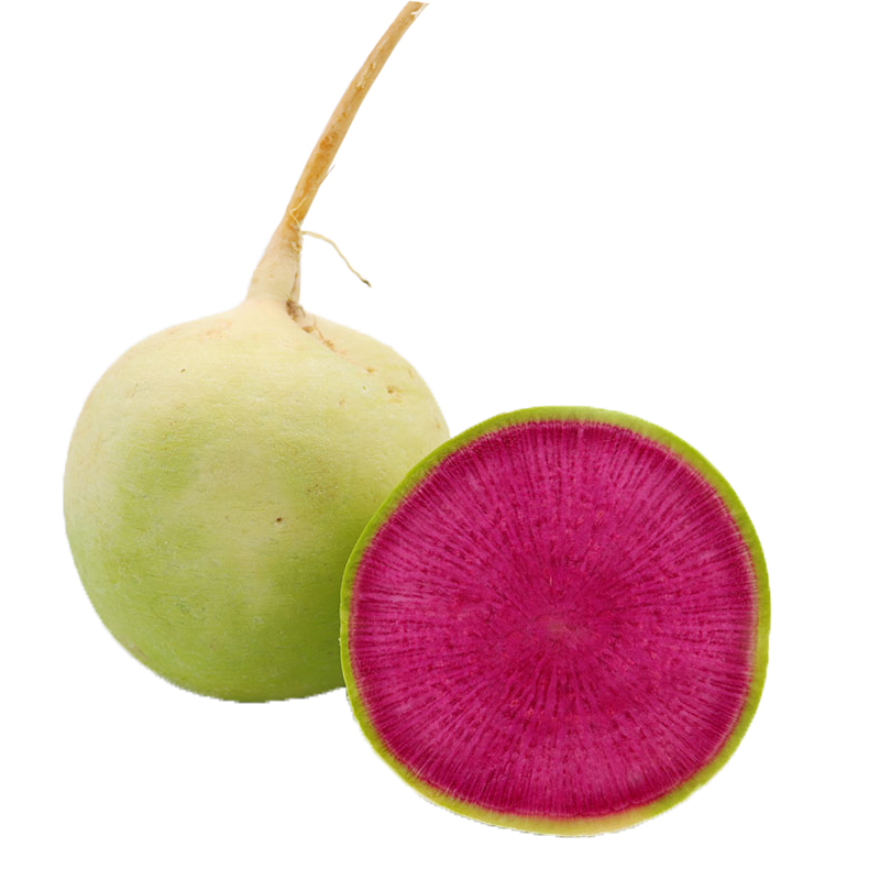 一折心里美萝卜