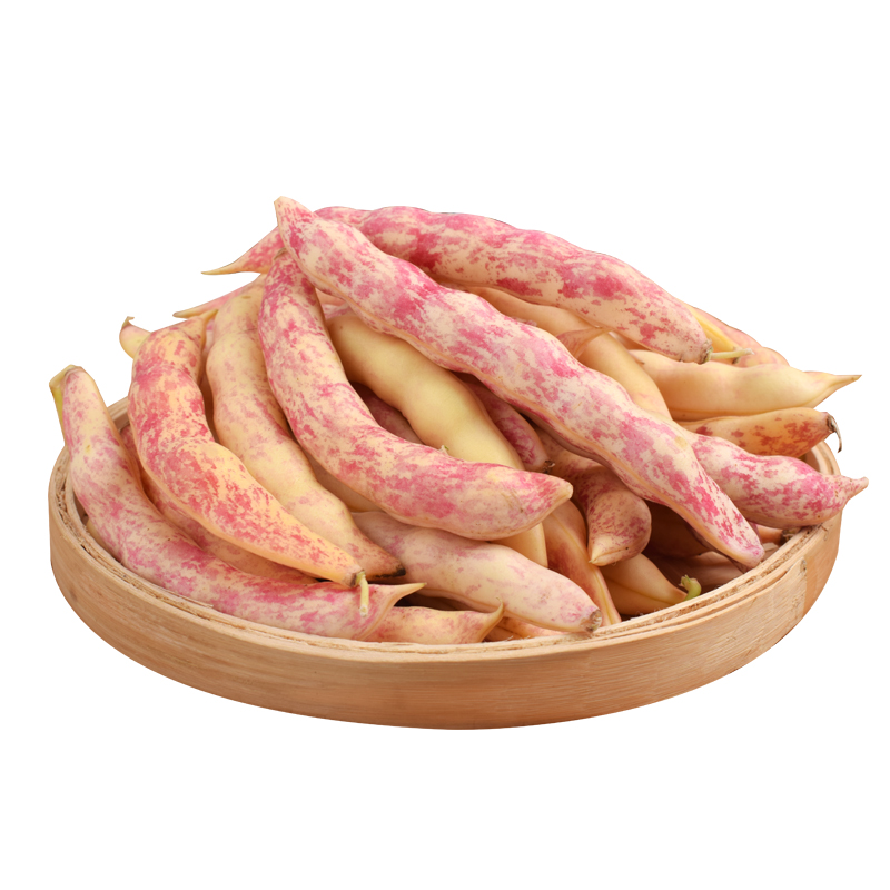 东北黄金勾 新鲜油豆角 鼓豆豆角 新鲜蔬菜 挤豆 勾钩黄 4斤包邮